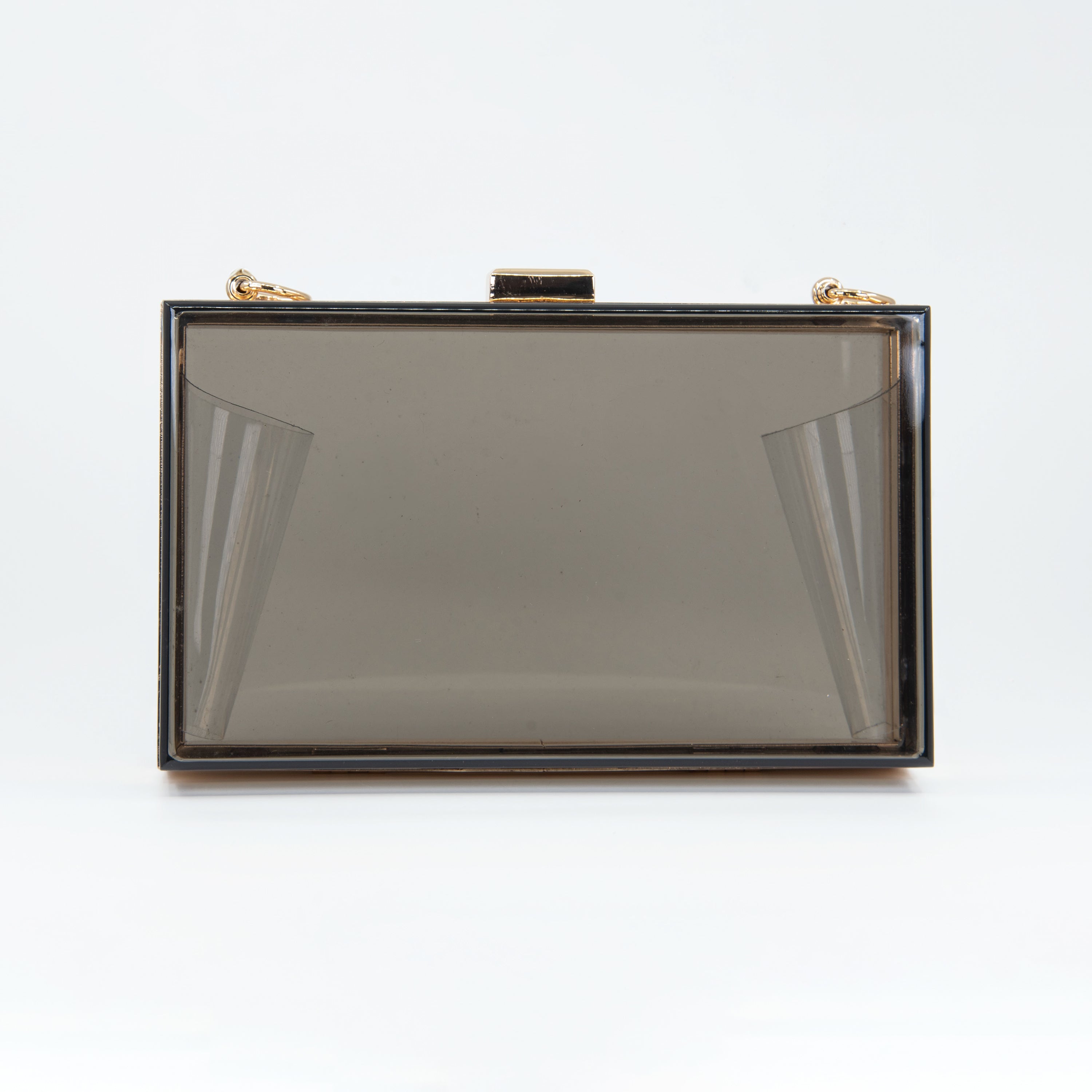 Clutch de Acrílico Transparente