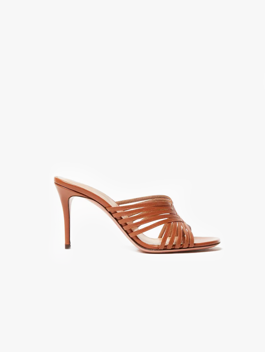 Vilna Mule